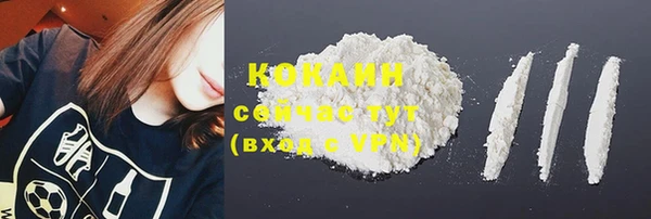 mdpv Заводоуковск