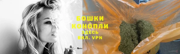 PSILOCYBIN Заволжье