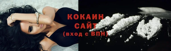 mdpv Заводоуковск
