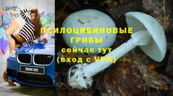 mdpv Заводоуковск