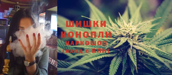 PSILOCYBIN Заволжье