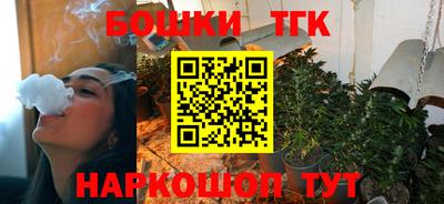 прущие грибы Обь