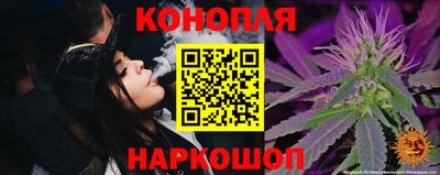 прущие грибы Обь