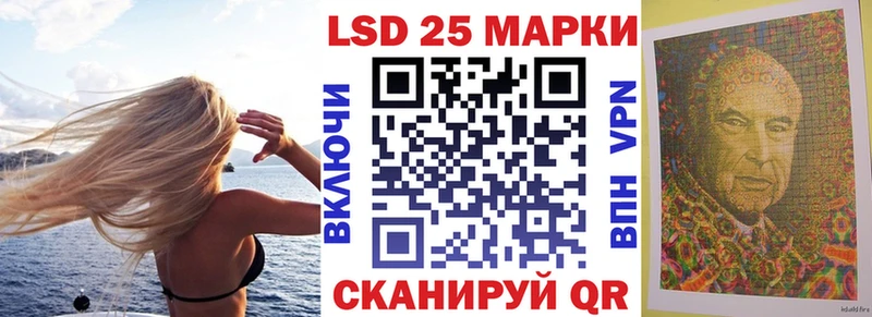 где найти наркотики  Холмск  Наркотические марки 1,8мг 