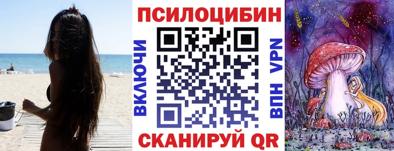 Псилоцибиновые грибы Psilocybe  где купить   Холмск 